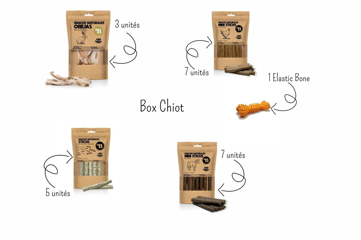 Box Chiot — Découverte & Premières Mastications