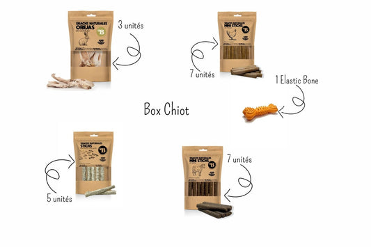 Box Chiot — Découverte & Premières Mastications