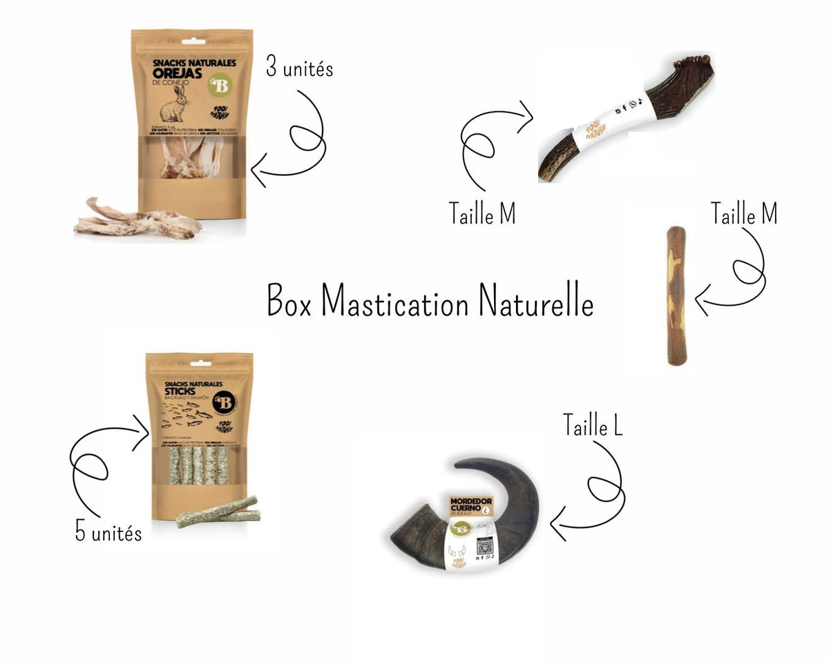 Box Mastication Naturelle — Le rituel des petits mâchouilleurs