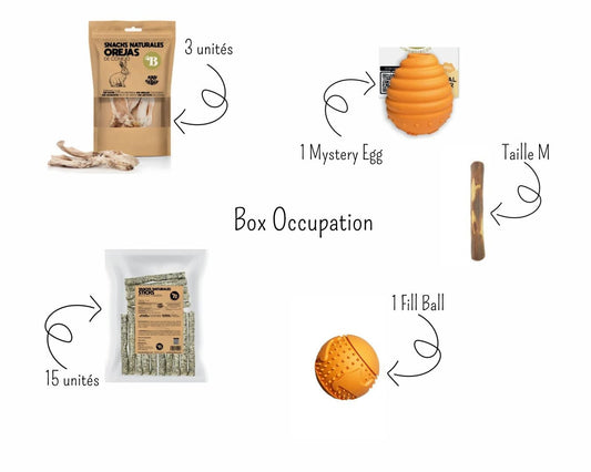 Box Occupation — Des activités pour éveiller sa curiosité