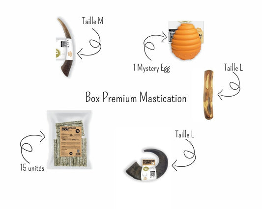 Box Premium Mastication — La grande sélection naturelle
