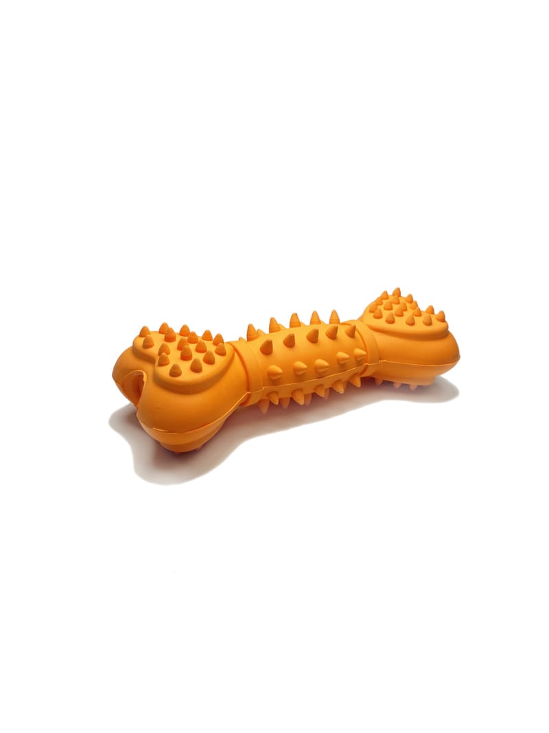 Box Chiot — Découverte & Premières Mastications