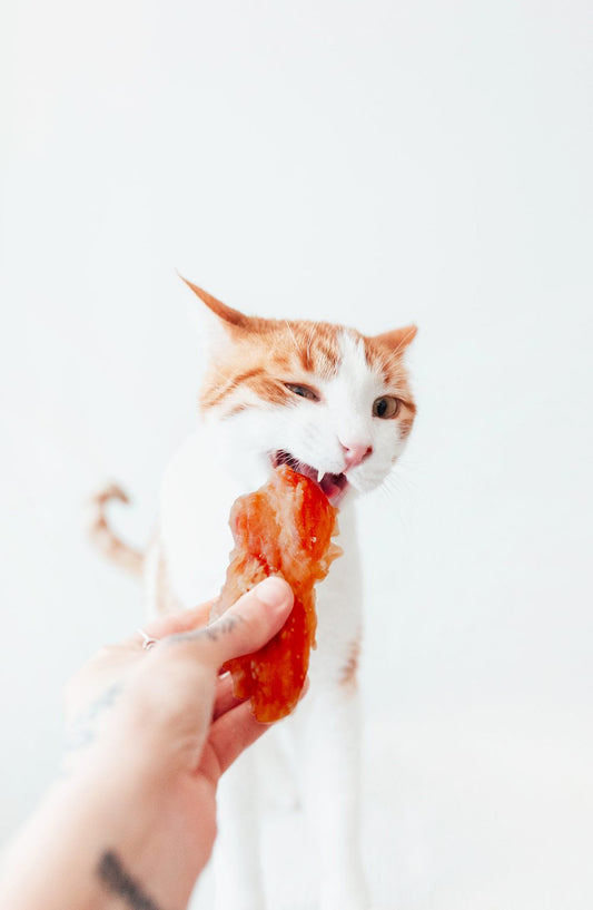 🐔 Filets de Poulet Naturels 100g pour Chat