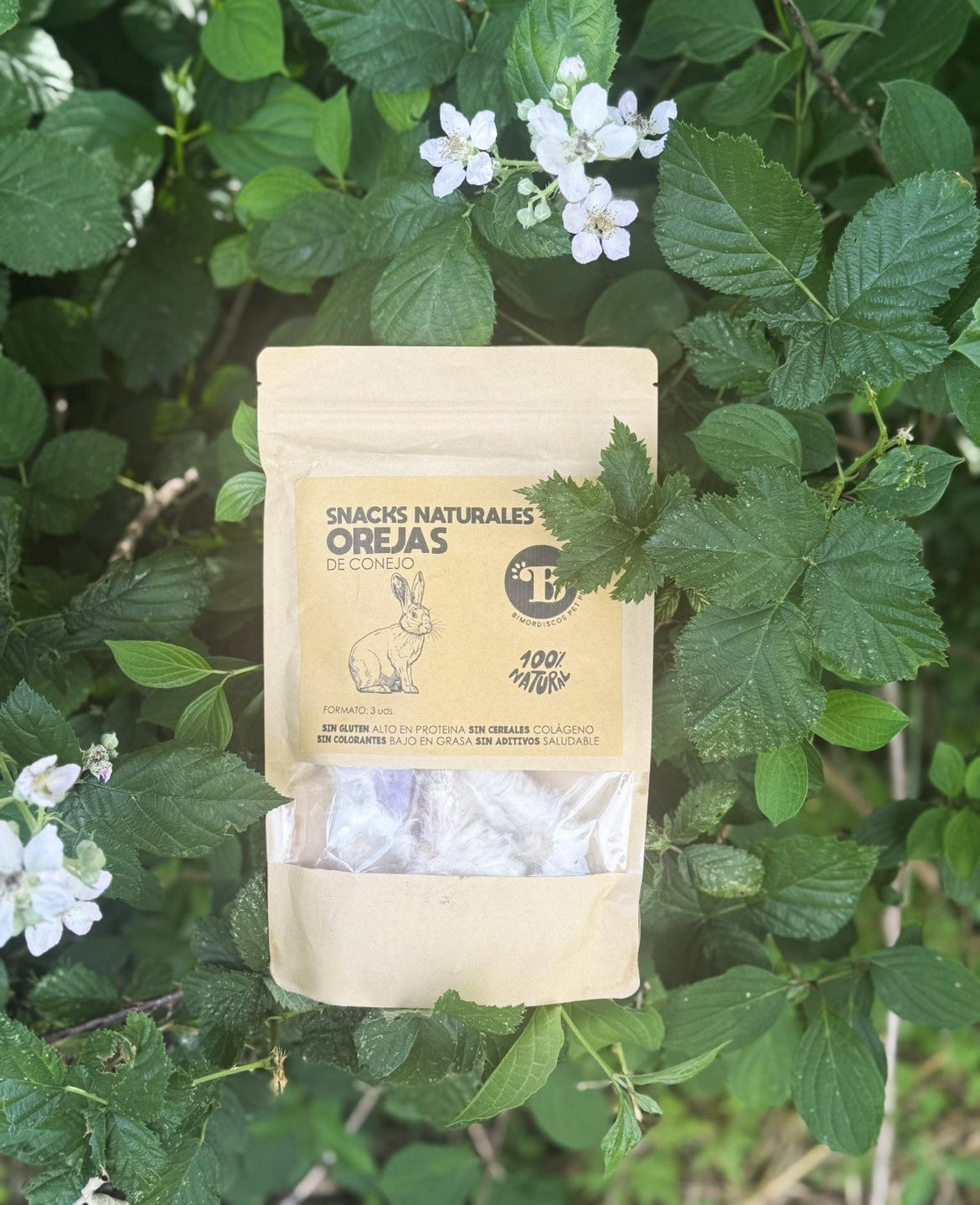 🌿 Box Mastication Naturelle — Occupation & Bien-être