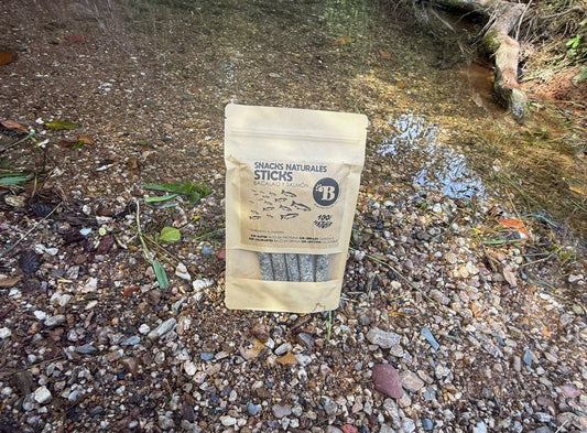 Sticks de saumon — Friandises pour chien