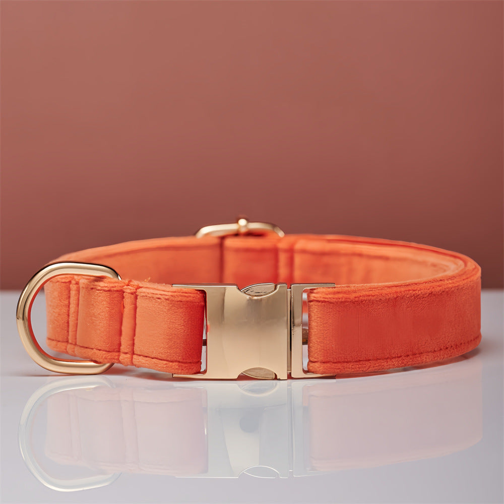 Collier Élégant pour Chien  – Style & Confort 🐾