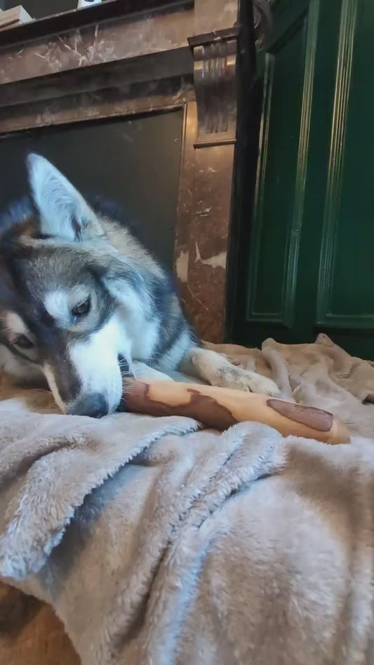 La première box idéale pour découvrir la mastication naturelle 🐾